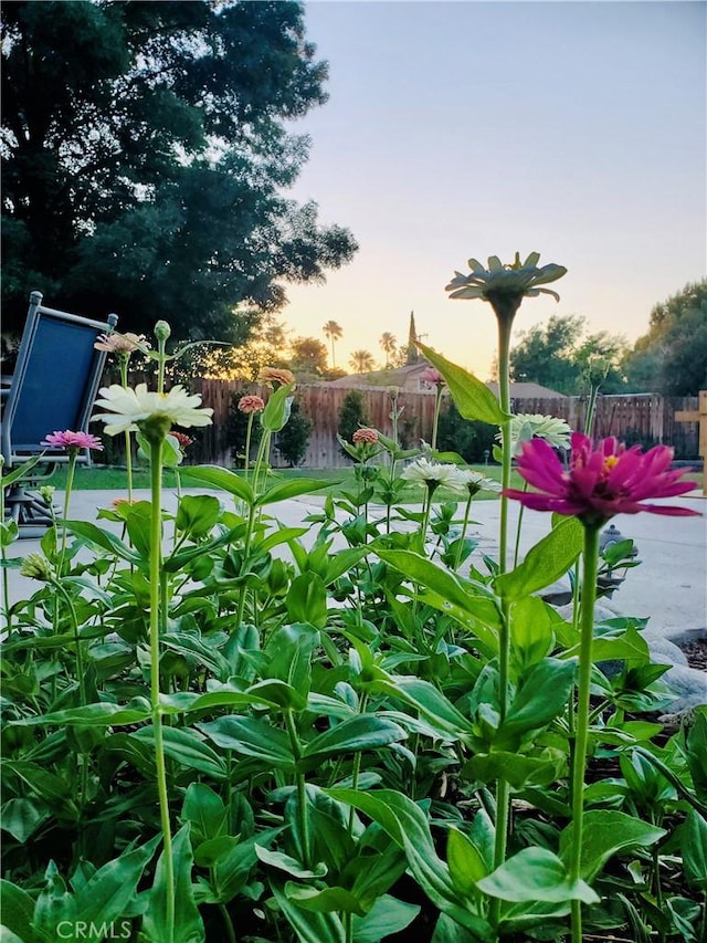 view of yard with fence