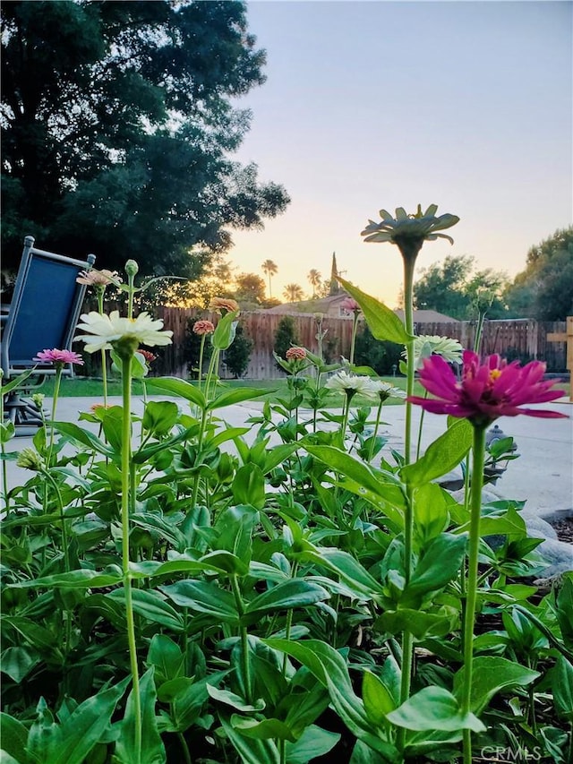 view of yard with fence