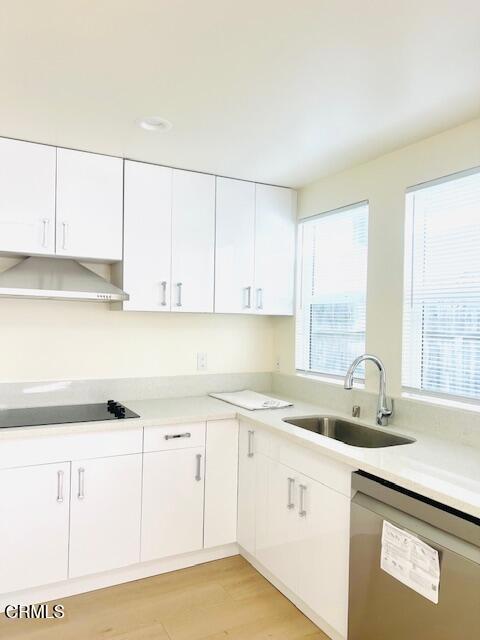 kitchen featuring black electric stovetop, white cabinets, a sink, dishwasher, and under cabinet range hood