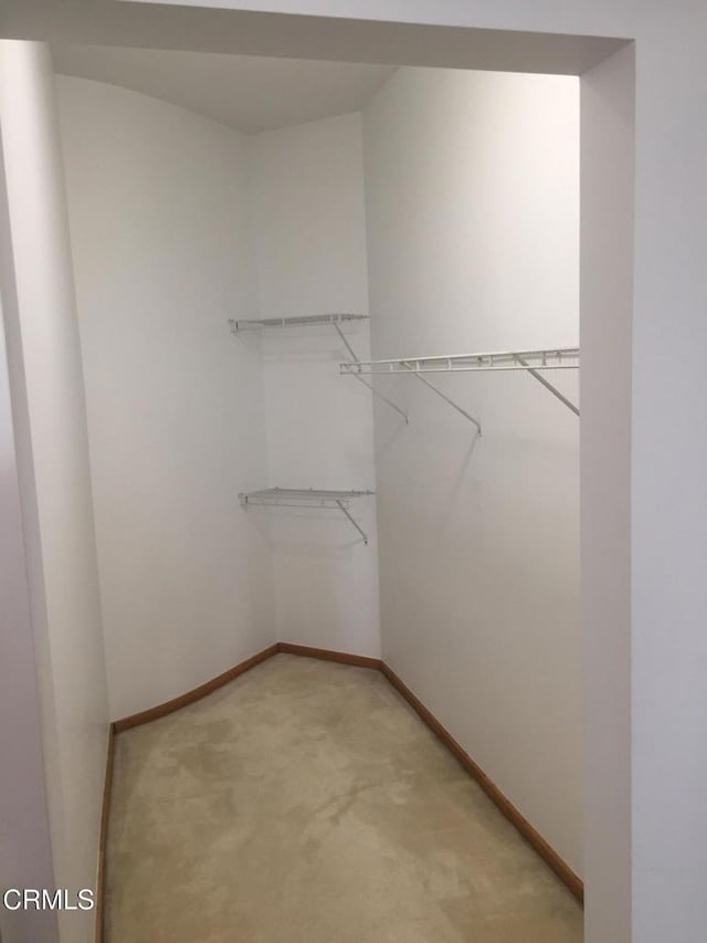 walk in closet with light carpet