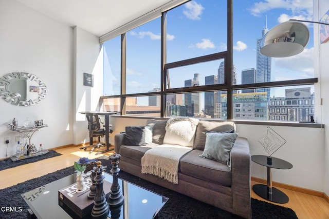 living room featuring baseboards, a city view, and wood finished floors