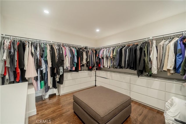 walk in closet featuring wood finished floors