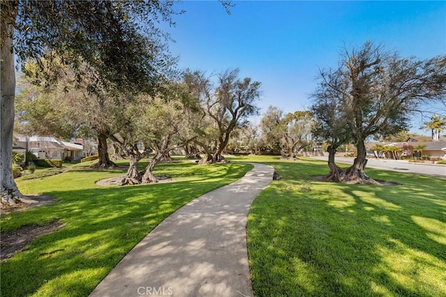 view of community with a lawn