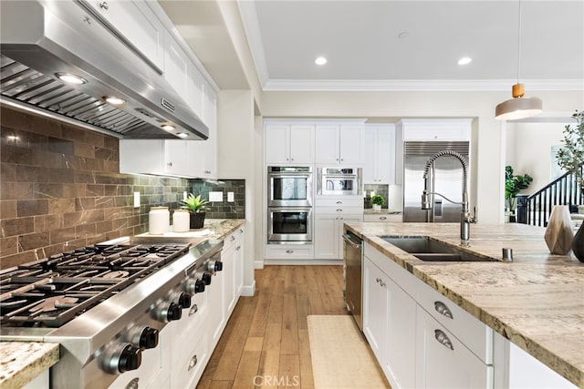 kitchen with range hood, a sink, appliances with stainless steel finishes, crown molding, and light wood-type flooring