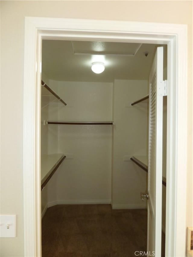 walk in closet with carpet flooring