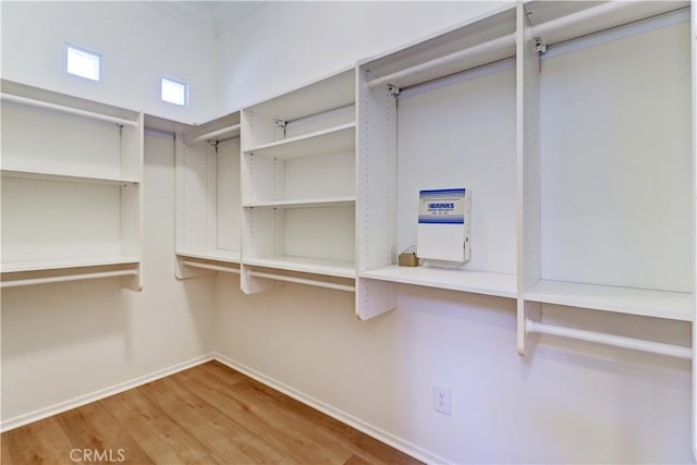 walk in closet featuring wood finished floors