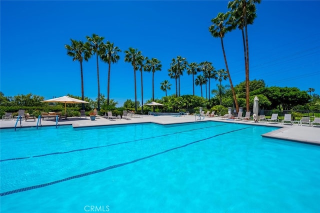 pool featuring a patio area and fence