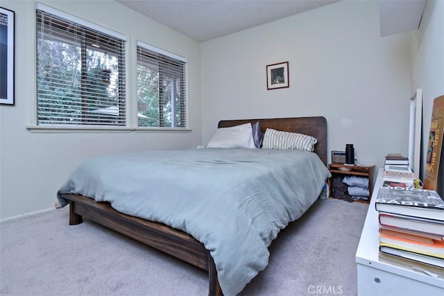 bedroom featuring carpet flooring and a textured ceiling