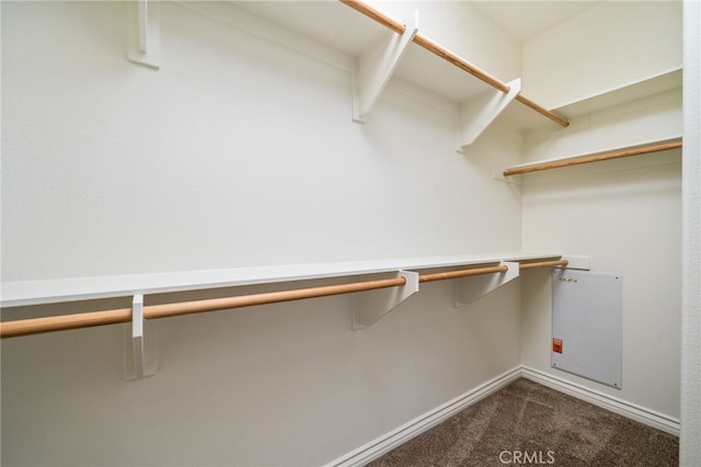 spacious closet featuring dark colored carpet