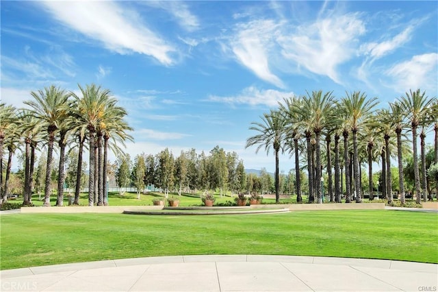 view of property's community with a lawn