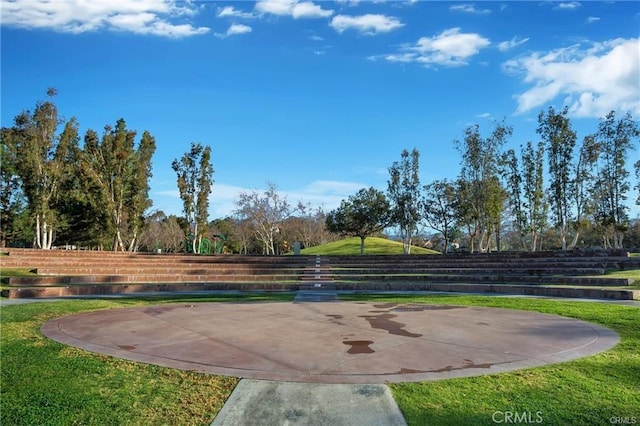 view of property's community with a yard