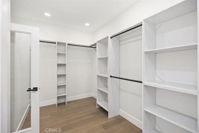 spacious closet featuring wood finished floors