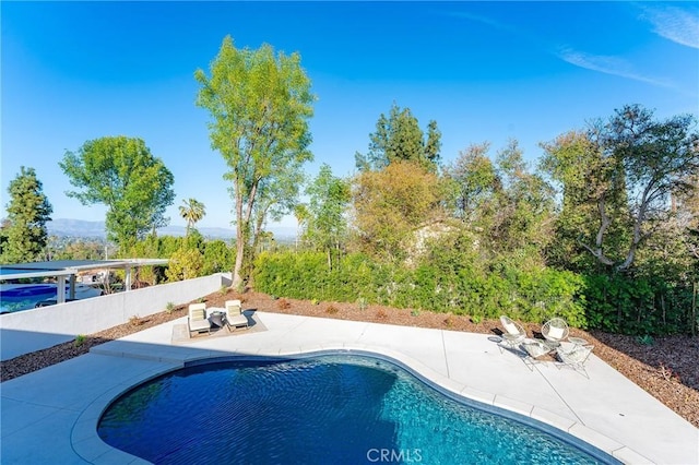 view of swimming pool featuring a patio area and a fenced in pool