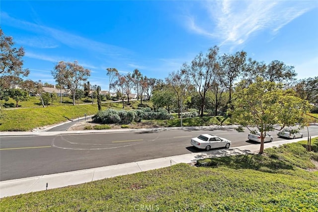 view of road with curbs