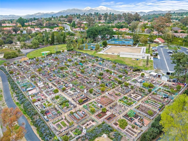 birds eye view of property with a mountain view