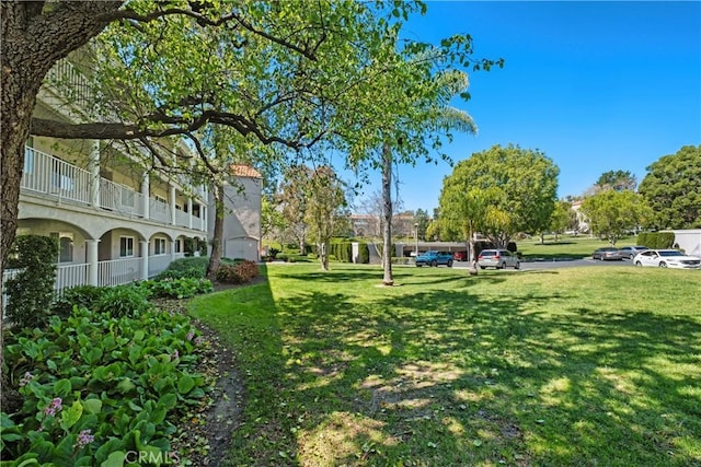 view of yard