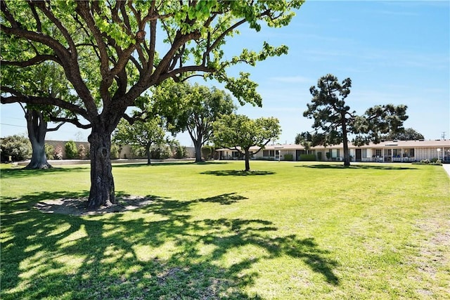 4012 Calle Sonora Oeste Unit 1B, Laguna Woods, CA 92637 - view of grassy yard