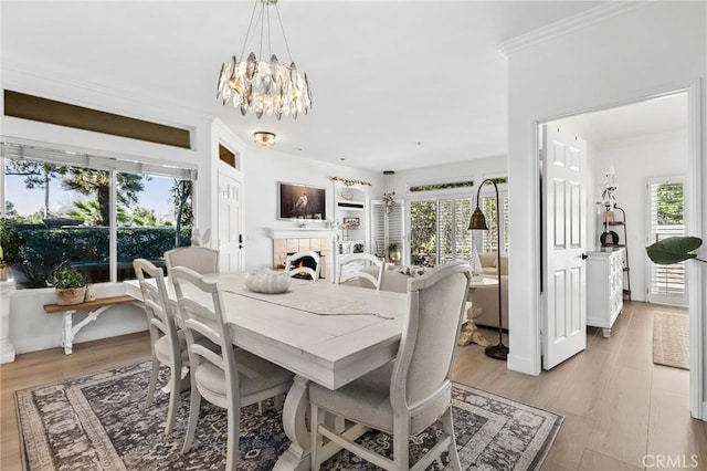 dining area featuring crown molding, a fireplace, light wood-style flooring, and a wealth of natural light