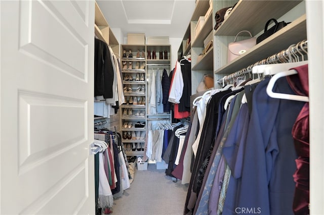 spacious closet with attic access and carpet floors