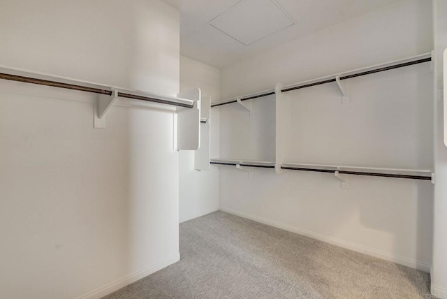 walk in closet featuring carpet flooring and attic access