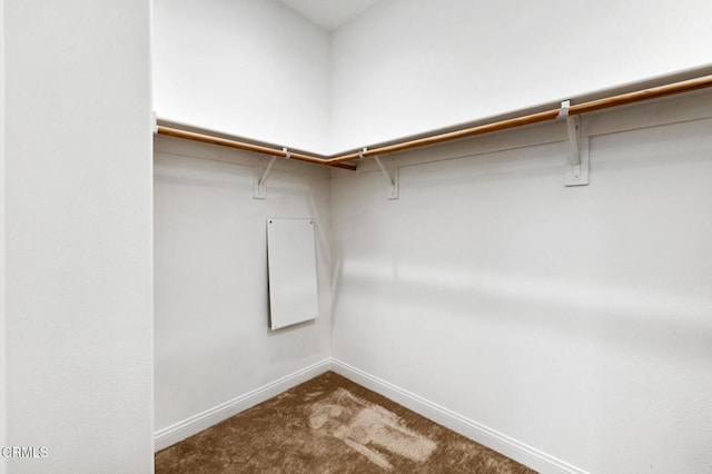 walk in closet featuring dark carpet