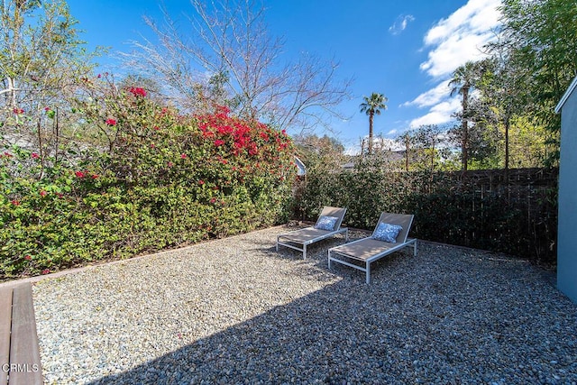 view of yard with a fenced backyard and a patio