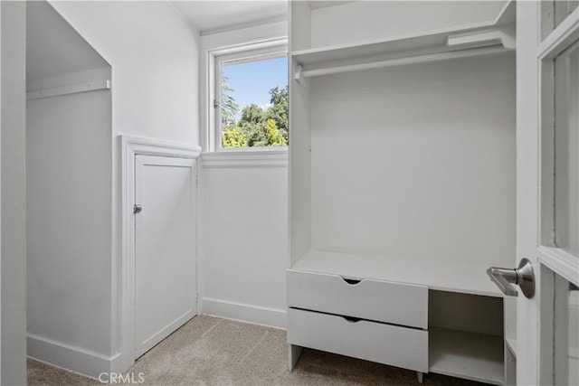 walk in closet with carpet flooring