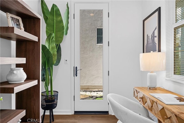 office featuring plenty of natural light and wood finished floors