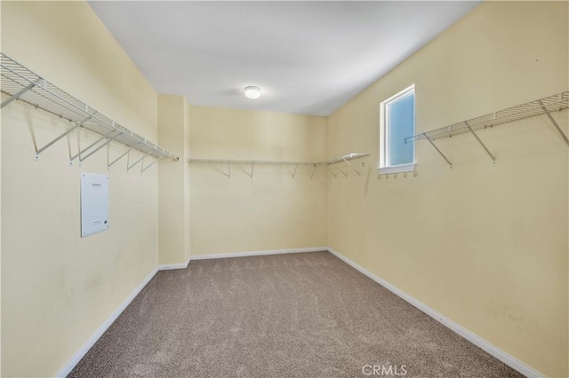 spacious closet with carpet floors