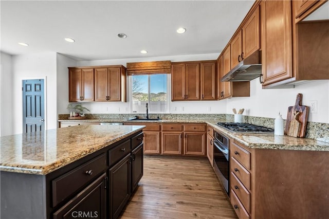 kitchen with light stone counters, under cabinet range hood, stainless steel appliances, wood finished floors, and a sink