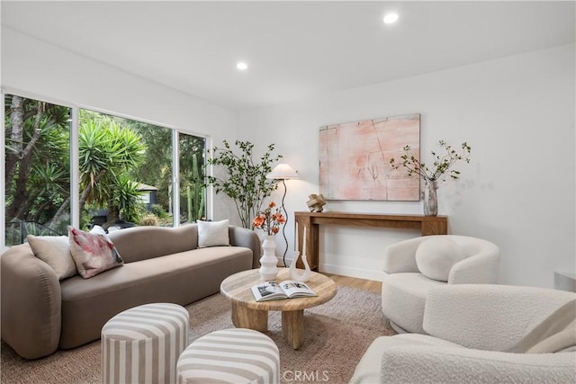 living area with wood finished floors and recessed lighting