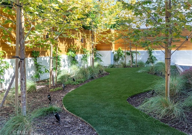 view of yard featuring fence