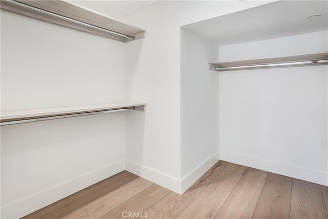 spacious closet featuring wood finished floors