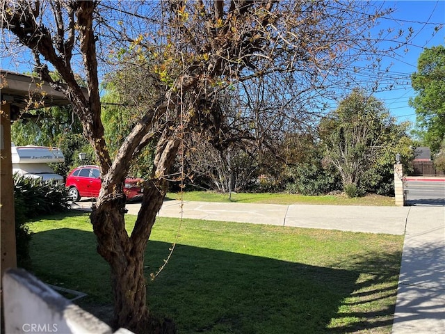 2609 E Cortez St, West Covina, CA 91791 - view of yard