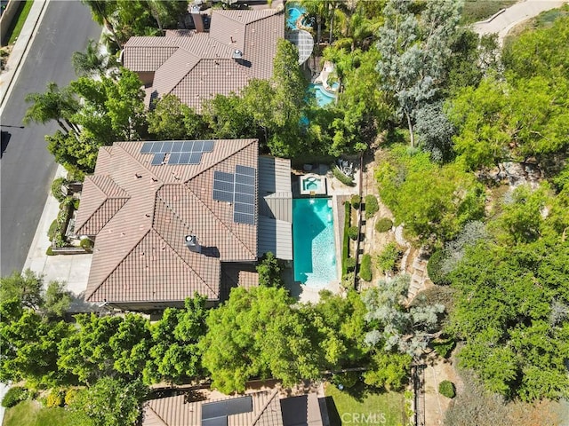 29123 Black Pine Way, Saugus, CA 91390 - photo 46