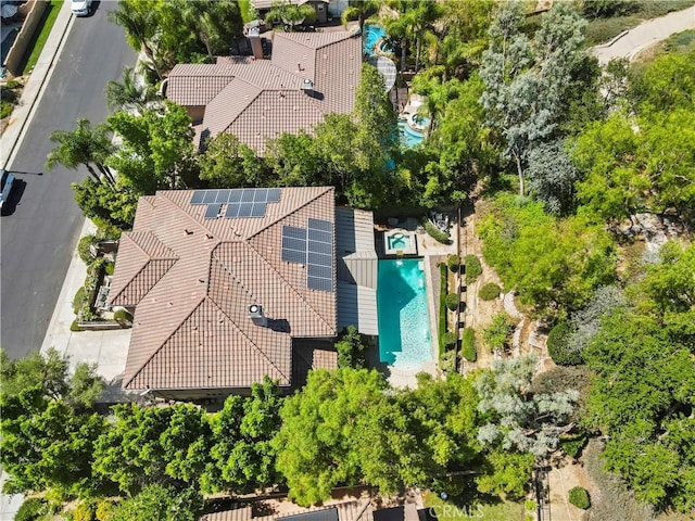 29123 Black Pine Way, Saugus, CA 91390 - photo 45