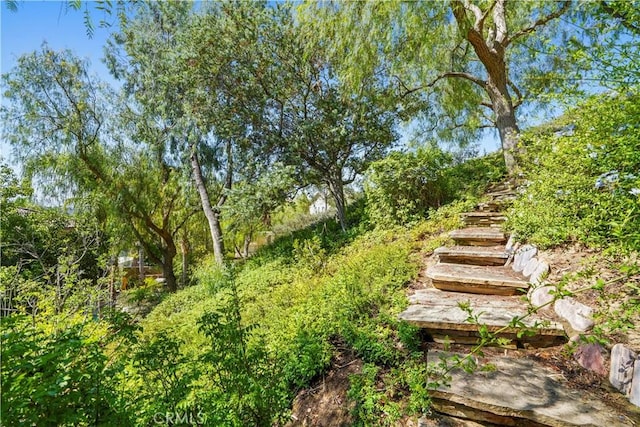 29123 Black Pine Way, Saugus, CA 91390 - photo 38