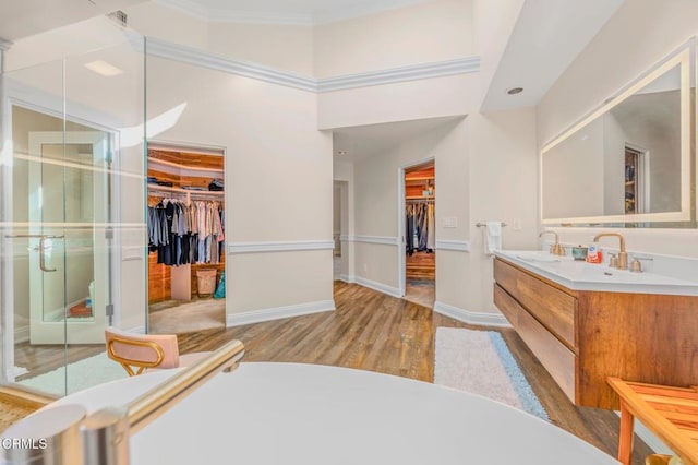 bathroom featuring a spacious closet, vanity, baseboards, and wood finished floors