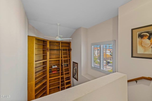 wine room featuring ceiling fan and vaulted ceiling