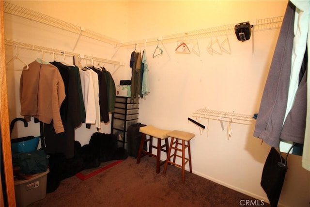 spacious closet with carpet