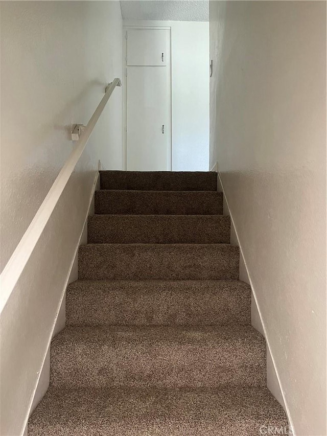 staircase with carpet floors