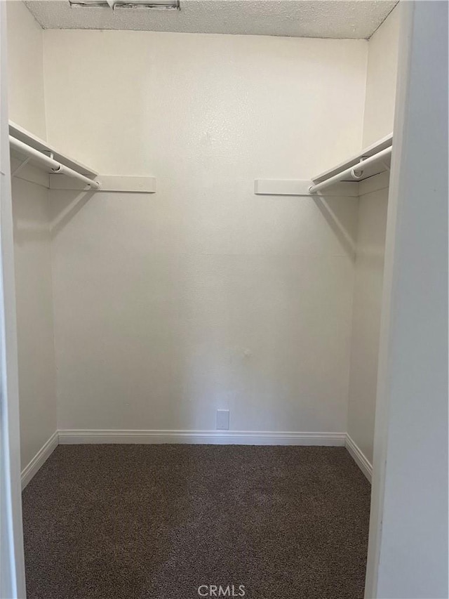 walk in closet with carpet floors