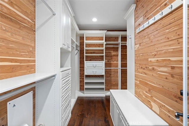 walk in closet featuring dark wood-style flooring