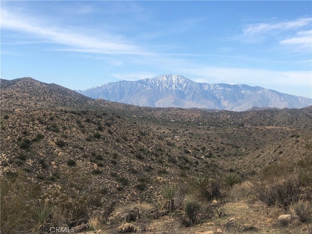 54575 Navajo Trl, Yucca Valley CA, 92284 land for sale