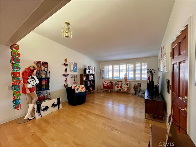 playroom with wood finished floors