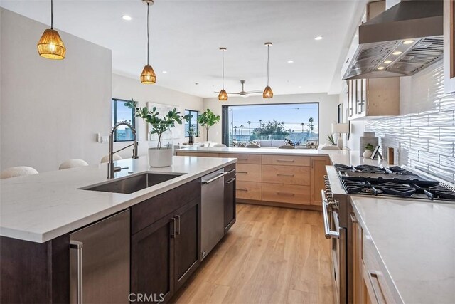 kitchen featuring light wood finished floors, wall chimney exhaust hood, a sink, stainless steel appliances, and a wealth of natural light