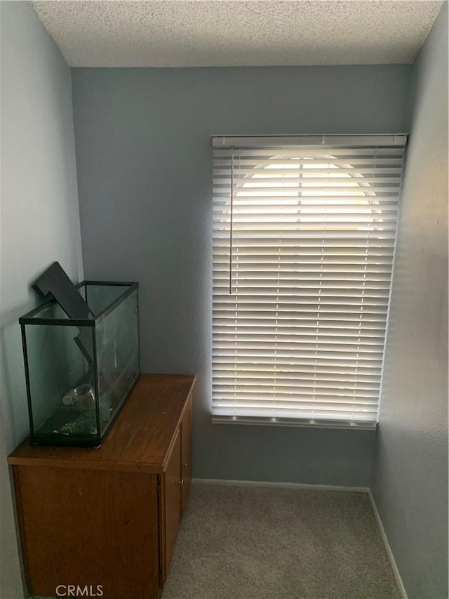 interior details with carpet, a textured ceiling, and baseboards