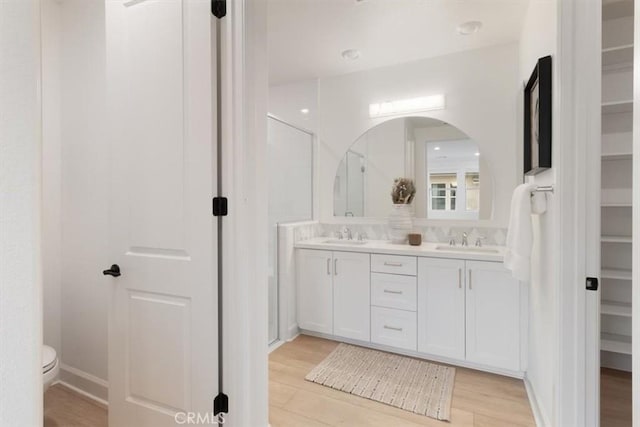 bathroom featuring a sink, a spacious closet, and double vanity