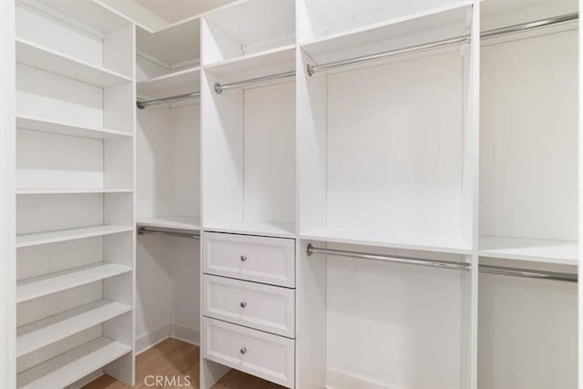 walk in closet featuring wood finished floors