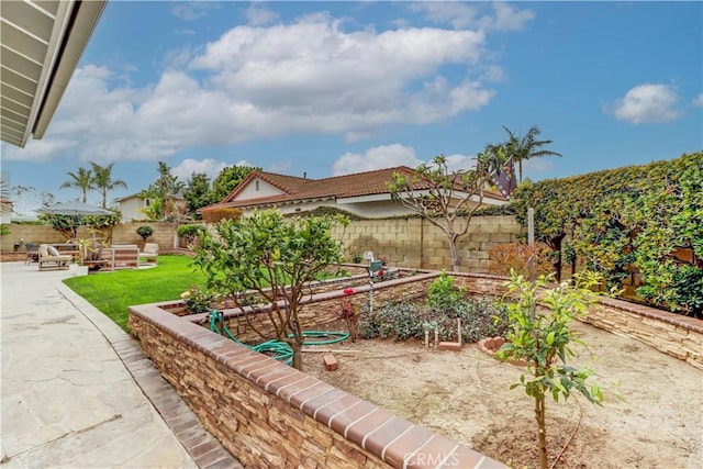 view of yard with a patio, a fenced backyard, and a vegetable garden